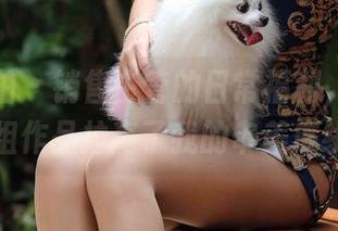 魔镜街拍 – 销售主管的日常福利，婷婷用这组作品拉高了我的审美底线。